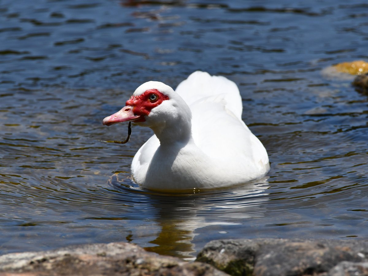 #:
         
          f/ at mm - Shutter Speed: - ISO: